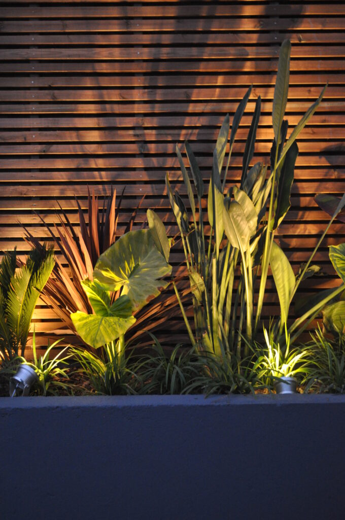 Plantes dans un grand pot sur une terrasse, éclairées par le dessous pour un effet doux et poétique