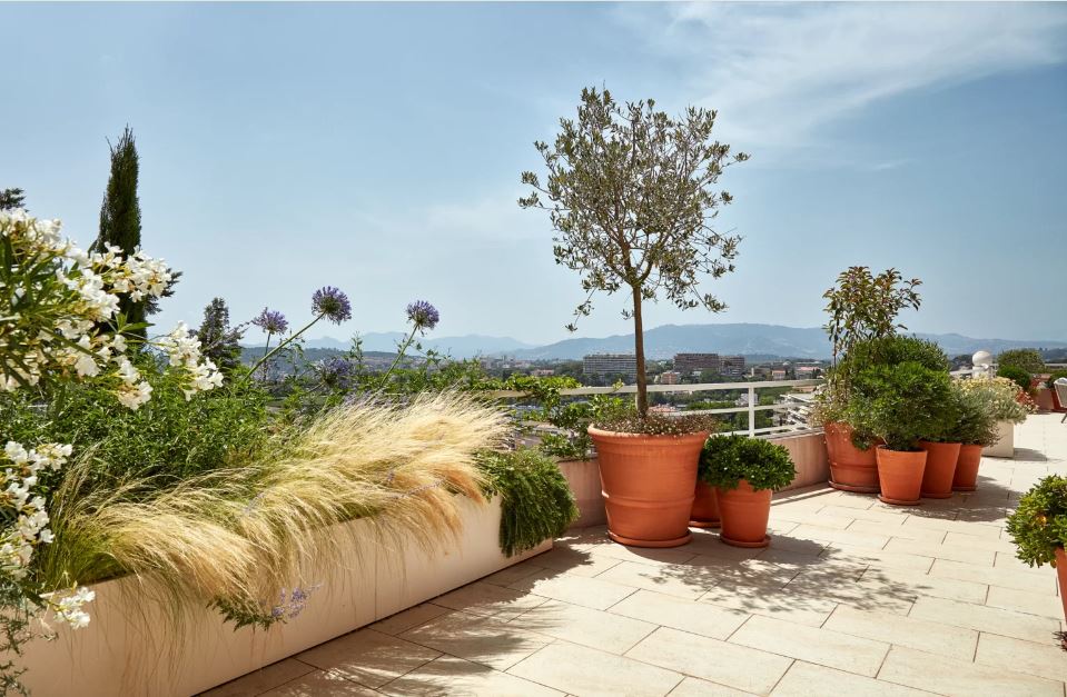 Terrasse en hauteur avec grands pots de plantes en terre cuite