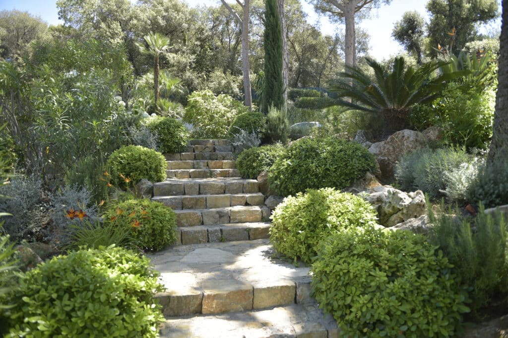 Quelles plantes pour aménager son jardin méditerranéen ?