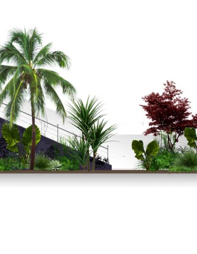 3D landscape elevation showing the planting composition around the pool and staircase area