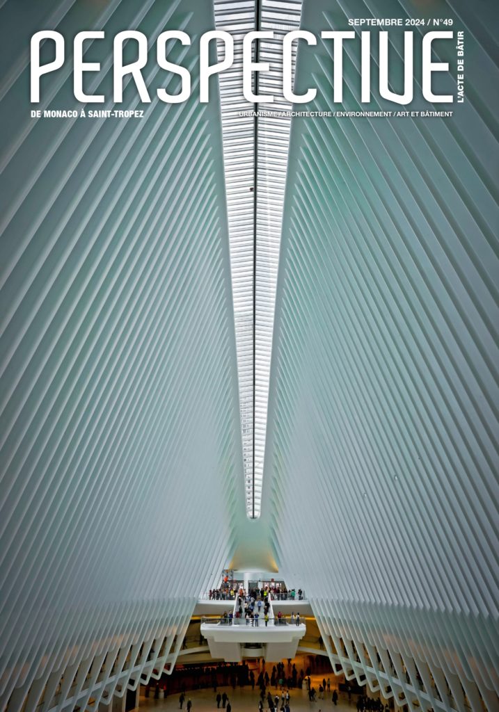 PERSPECTIVE N°49 – Le charme d’une cascade