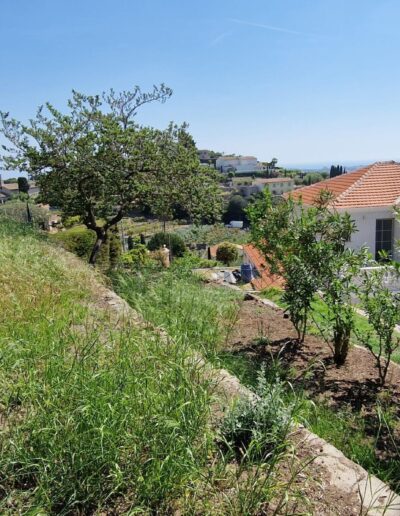 Talus réaménagé avec massifs plantés et restanques en pierre rénovées