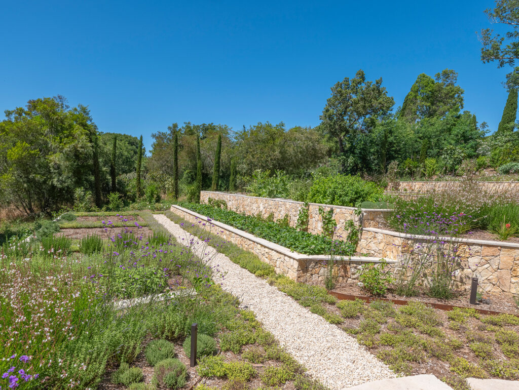 Aromatic garden in an Adonis landscape project