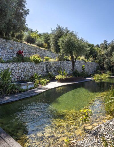 Bassin naturel en contrebas de restanques plantées d’oliviers, dans un paysage provençal