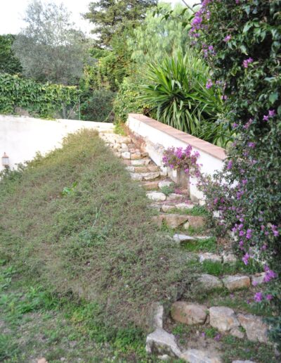 Old stone garden stairs and overgrown slope before renovation