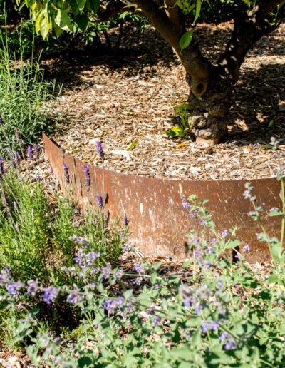 Corten steel edging surrounded by lavender and plants in a natural garden in Mougins