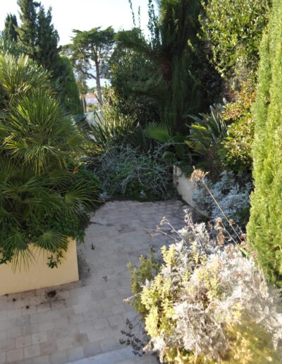 Passage avant travaux avec escalier menant à une zone végétalisée dense