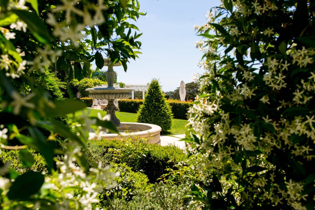 Fontaine en pierre entourée de jasmin dans un jardin paysager