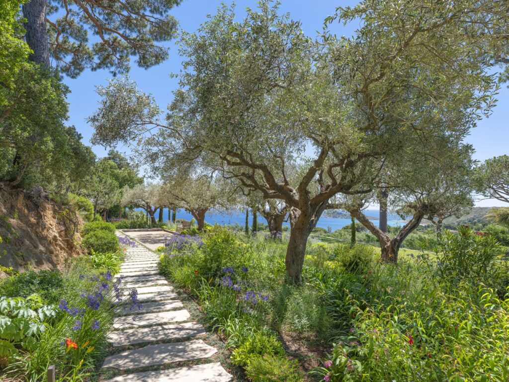 Garden transformed after Adonis completed the landscape project