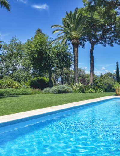 View of a Mediterranean garden with a blue pool and palm trees under a clear sky