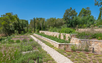 Jardin aromatique méditerranéen : l’expérience sensorielle haut de gamme