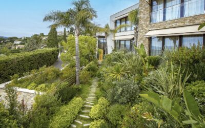 Contemporary villa: designing a garden that matches the architecture