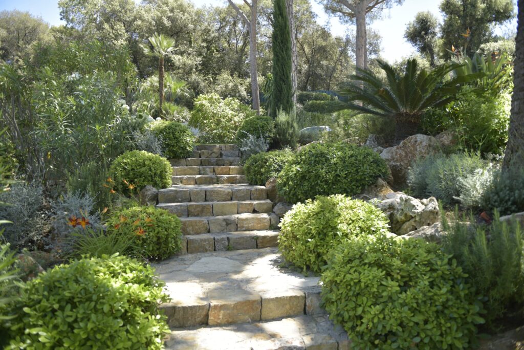 Jardin méditerranéen, plantes adaptées au climat et belles marches en pierre