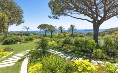Jardins panoramiques : sublimer la vue sur mer par le paysagisme