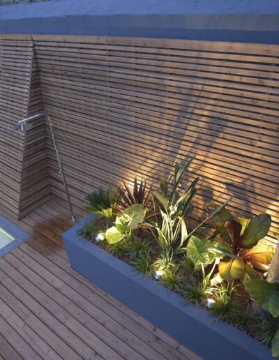 Jardinière de plantes exotiques éclairées devant un mur à claire-voie en bois