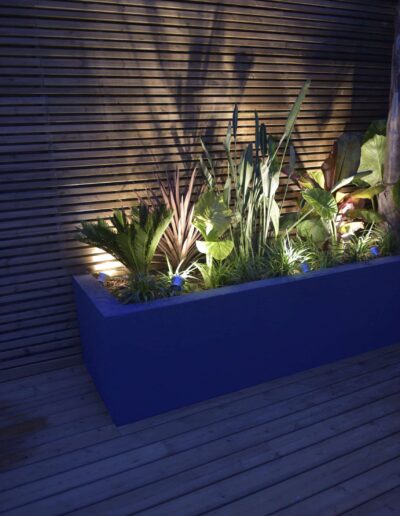 Jardinière de plantes exotiques éclairées contre un mur en claire-voie la nuit