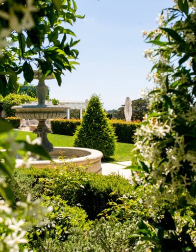 Stone fountain surrounded by jasmine in a landscaped garden