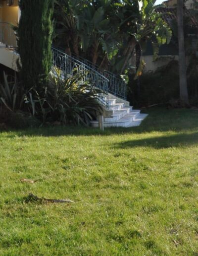 Lower terrace before work, with overgrown vegetation and unstructured space