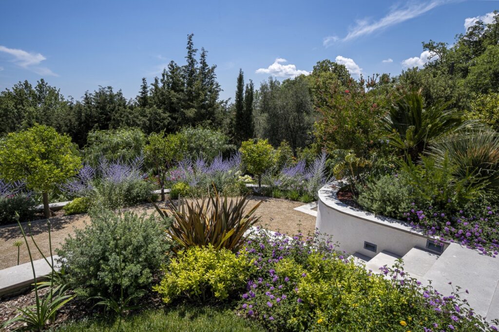 Mediterranean garden terrace with shrubs, flowers and gravel pathway