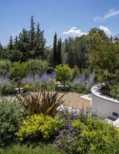 Mediterranean garden terrace with shrubs, flowers and gravel pathway