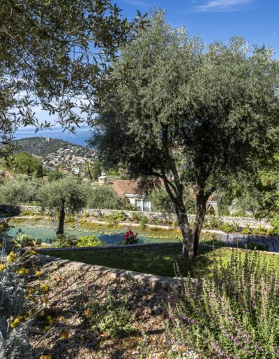 View of a Mediterranean terraced garden with a natural pool surrounded by olive trees and distant sea view