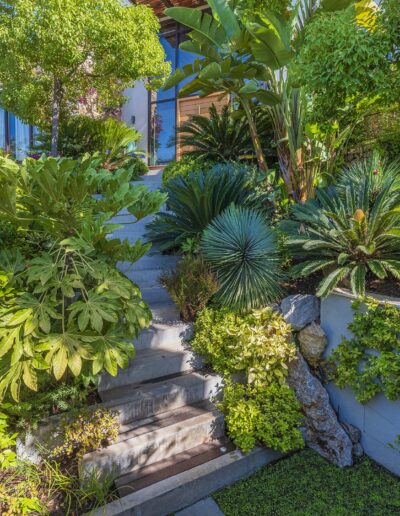 Staircase integrated into a dense tropical garden with exotic varieties and structured plantings.