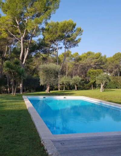 Old swimming pool and lawn before the garden renovation