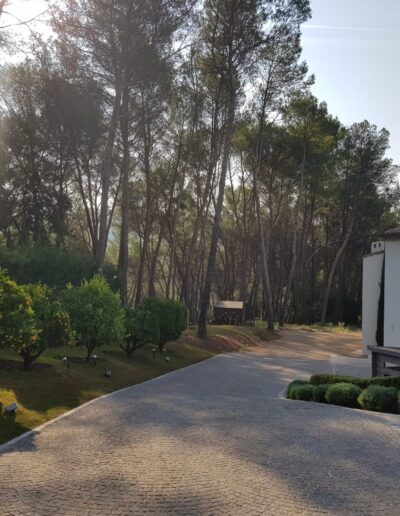 Driveway lined with orange trees and landscaped property entrance