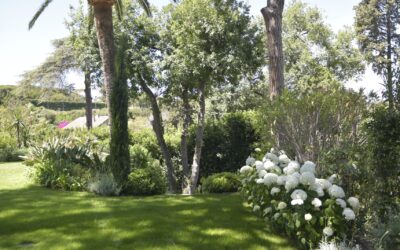 Le rôle du jardinier paysagiste dans l’entretien d’un domaine de prestige