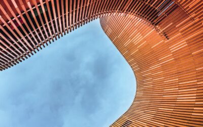 PERSPECTIVE No. 48 – Mastering a Project from start to finish