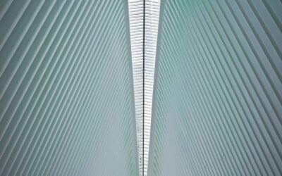 PERSPECTIVE No. 49 – The Charm of a Waterfall