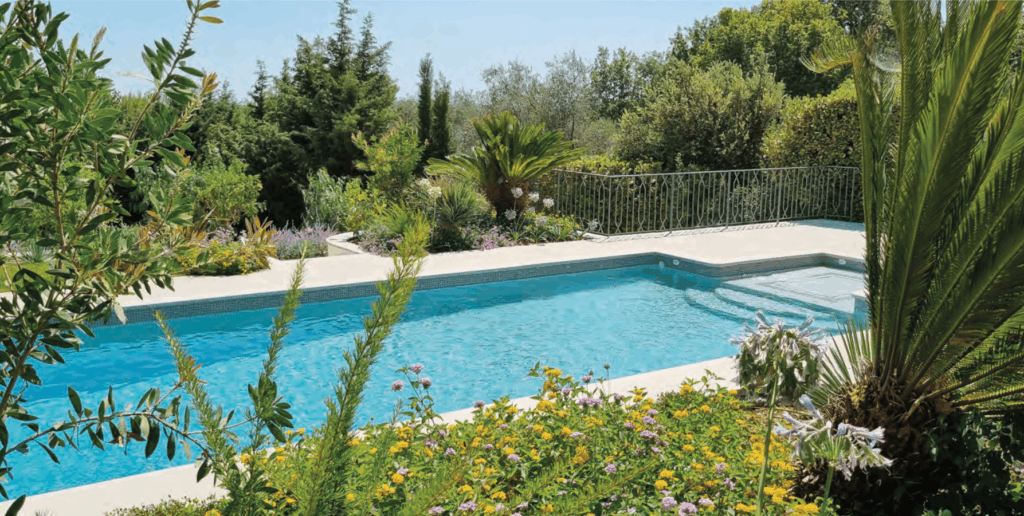 Pool and stone terrace surrounded by abundant vegetation