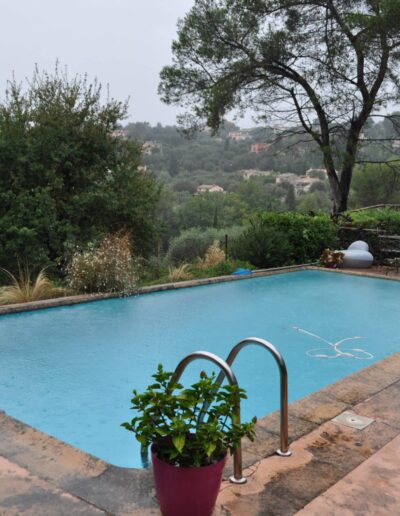 Existing pool before renovation, surrounded by vegetation and an aged terrace