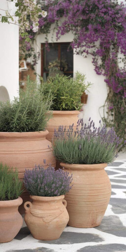 Pots en terre cuite avec des aromates et de la lavande