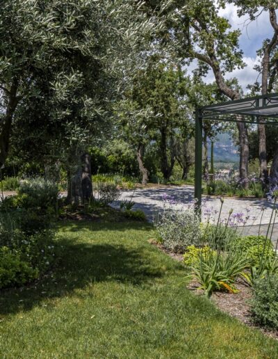 Shaded garden with olive trees, flower beds and a metal structure in a natural setting