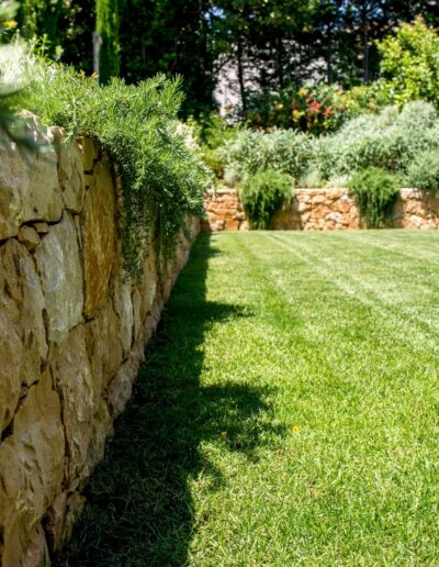 Stone wall bordering a well-kept lawn with Mediterranean plantings