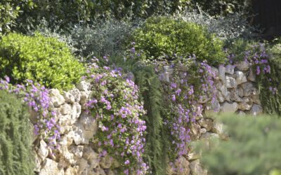 Gabions, cyclopean stone, or landscaping rock retaining walls: regulations on the French Riviera