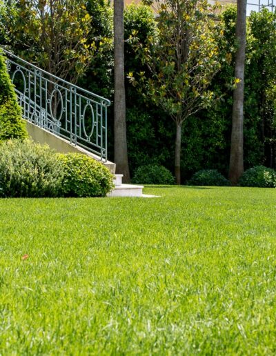 Terrasse basse réaménagée donnant sur un espace vert soigné