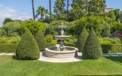 Topiary art in the garden: Sculpting plants for an exceptional landscape