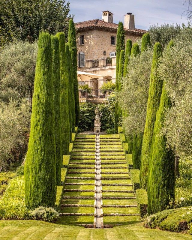 Topiary art: cypress-lined walkway leading to a villa