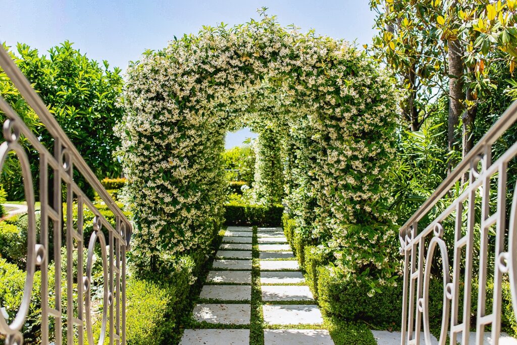 Beautiful graphic pathway with a plant arch