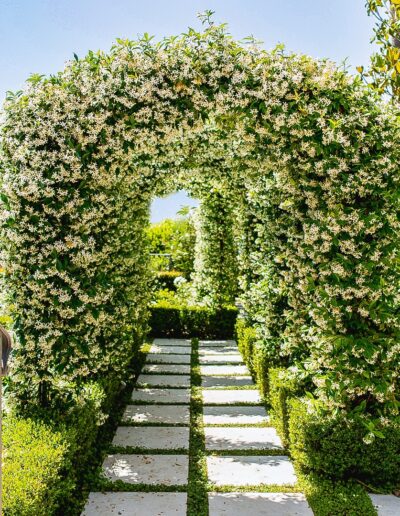 Beautiful graphic pathway with a plant arch