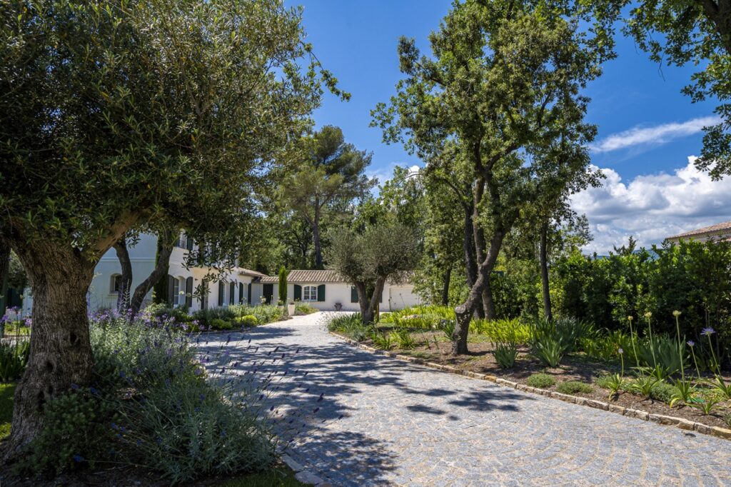 Pathway lined with plants leading to a villa
