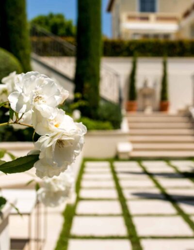 White roses in the foreground in front of the garden staircase