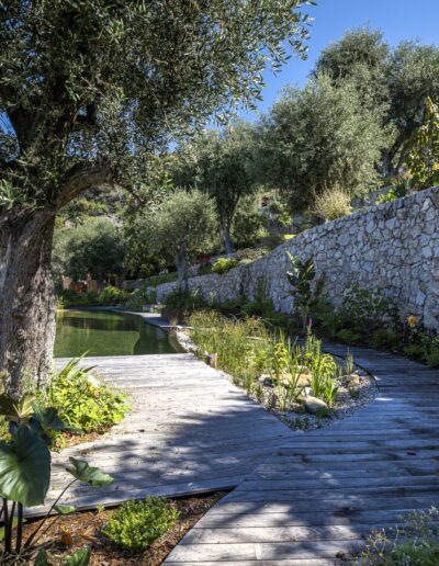 Curved wooden pathway winding through a Mediterranean garden around a natural pool