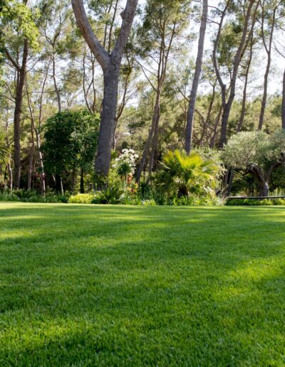Lawn in the heart of a landscaped woodland in a natural garden in Mougins