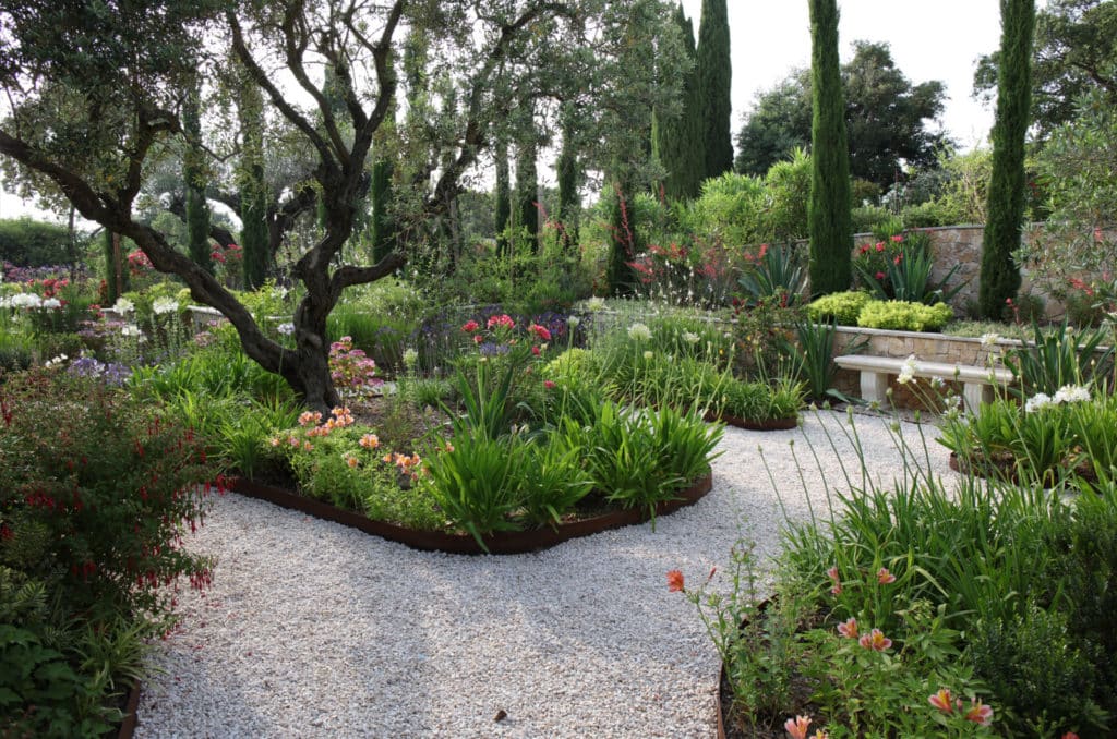 Plantes vivaces et floraison durable