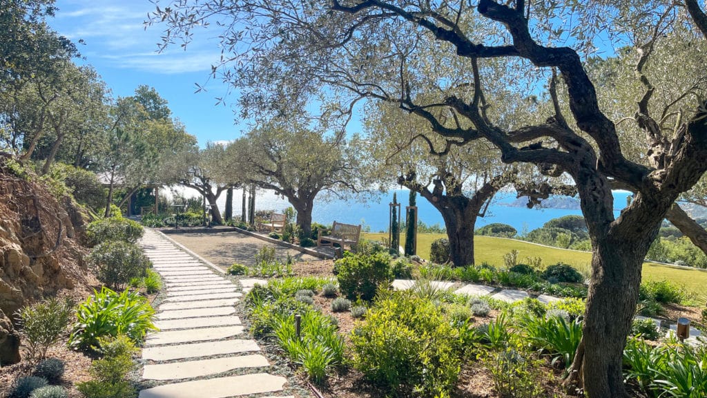 Les essences d’arbres rares pour un jardin méditerranéen d’exception