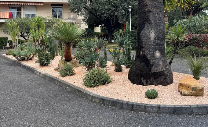 Choosing the plant palette