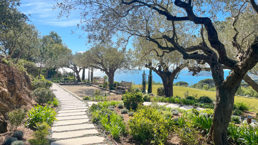 Rare tree species for an exceptional Mediterranean garden